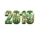 2019 PNG