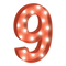 9 Letter Transparent