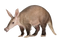 Aardvark PNG