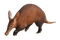 Aardvark