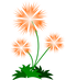 Abstract Flower PNG Picture