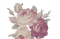 Aesthetic Flower PNG Free Download