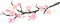 Aesthetic Flower Transparent