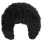 Afro Hair PNG Images