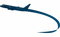 Airplane PNG Image