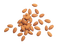 Almond Nuts PNG