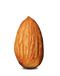 Almond PNG Image