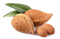 Almond PNG