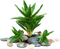 Aloe Vera Gel PNG File