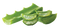 Aloe Vera Gel PNG