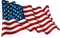 America Flag PNG File