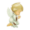 Angel Transparent