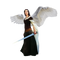 Angel Warrior PNG