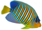 Angelfish PNG Download Image