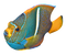 Angelfish PNG Image HD