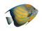 Angelfish PNG