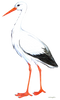 Animated Stork Transparent