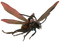 Ant-Man Download PNG