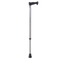 Antique Walking Stick PNG