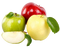 Apple Fruit Free Download PNG