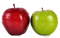 Apple Fruit Free PNG Image