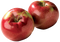 Apple Fruit PNG File