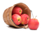 Apple Fruit