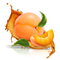 Apricot Free PNG Image