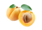 Apricot PNG Clipart