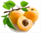 Apricot PNG Picture