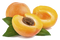 Apricot PNG