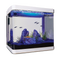 Aquarium Fish Tank PNG Clipart