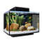 Aquarium Fish Tank PNG File