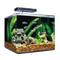 Aquarium Fish Tank PNG Free Download