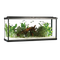 Aquarium Fish Tank PNG Image HD