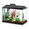 Aquarium Fish Tank PNG