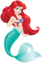 Ariel Download PNG