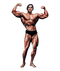 Arnold Schwarzenegger Bodybuilding PNG Clipart