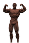 Arnold Schwarzenegger Bodybuilding PNG High Quality Image