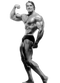 Arnold Schwarzenegger Bodybuilding Transparent