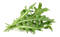 Arugula PNG File