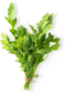 Arugula PNG Pic