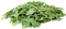 Arugula PNG