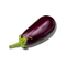 Aubergine Free Download PNG