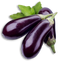 Aubergine Transparent