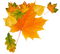 Autumn PNG Clipart