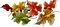 Autumn PNG HD