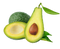 Avocado Transparent