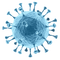 Bacteria PNG Clipart