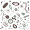 Bacteria PNG Images